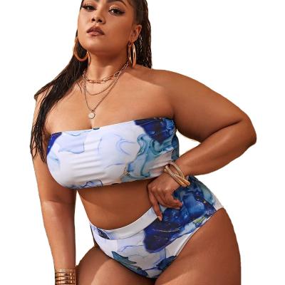 China 2022 European and American breathable plus size bikini ladies sexy swimwear for women XXL 3XL 4XL 5XL for sale