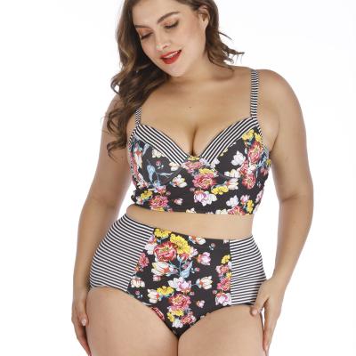 China Breathable 2022 Europe and America plus size women's bikini 2 piece suit swimwear swimwear beach wear for sale