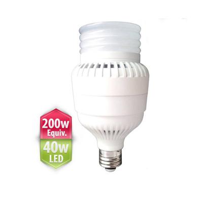 China White Light Bulb 40watt with high brightness from Fireflier Lighting for sale