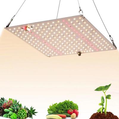 China Seed Starting Best Qavita 300w LED Grow Lights For Indoor Hydroponic Plants Veg Medicinal Plants LED Grow Light for sale