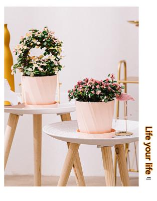 China Traditional Plastic Flower Pot With Tray Blue Pink White High Quality Planter With Saucers For Balcony Garden Home Succulent Decoration for sale