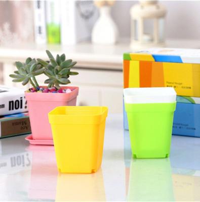 China Small Mini Colorful Square Succulent Nursery Flower Pot Traditional Desktop Plastic Decoration With Tray Plastic pp material home planter for sale