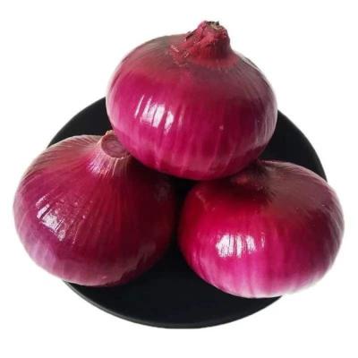 China Fresh good quality fresh organic onions whloesalers fresh red onion for sale