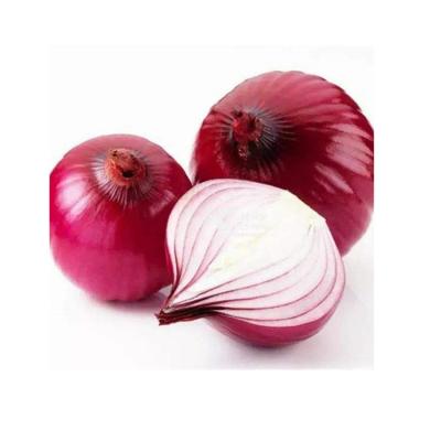 China 2022 high quality wholesalers fresh fresh the other onion basket storage fresh red onion for sale