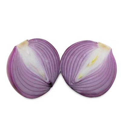 China Best fresh for fresh bulk fresh new crop buy fresh shallot onion for sale