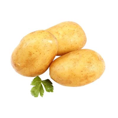 China The new fresh crop fresh market price is the lowest fresh potatoes from the potato suppliers for sale