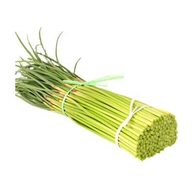 China Young Fresh Moss Shoot New Garlic Crop Vegetable Garlic Moss for sale