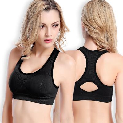 China QUICK DRY Sports Bras For Women Padded Seamless High Impact Yoga Gym Workout Fitness Support for sale