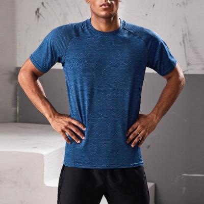 China Cheap Muscle Men's Spandex Cotton Anti-Wrinkle Mens Gym T-shirt Fitness T-shirt Wholesale High Quality T-shirt for sale