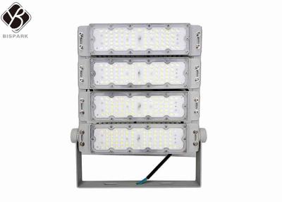 China Outdoor Led Tunnel Lighting 150lm/w Ip65 50W to 2000W for sale