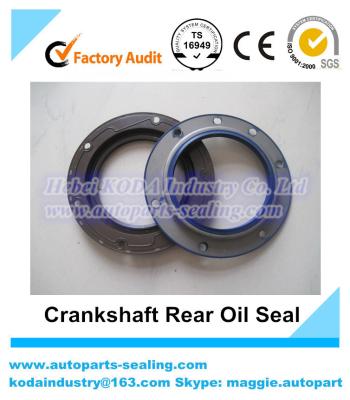 China TBL3Y 100*120*15Mechanical Seal / rubber seal / automotive parts / import auto spare parts for sale