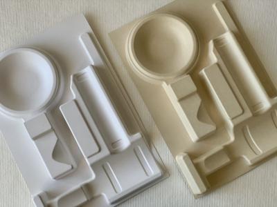 Chine Réduisez en pulpe la bagasse de Tray Custom Sustainable Packaging Recyclable à vendre