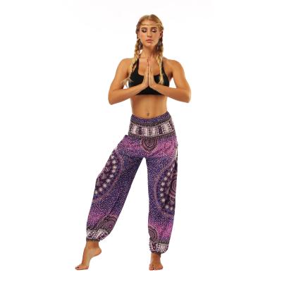 China Women's Boho Breathable Harem Pants Smocked Hippie Waist All Over Print Colorful Yoga Palazzo Pants With Pockets for sale