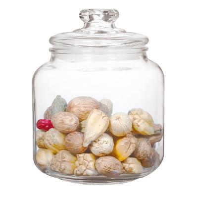 China Wholesale Viable Tea Canister Sugar Glass Storage Jar Coffee Tea Factory Supply Glass Mason Jar With Glass Sealed Lid for sale