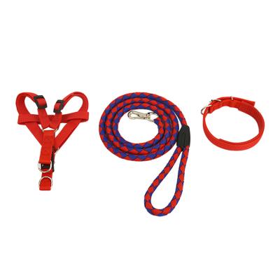 China DETACHED Explosion Proof Training Rolled Dog Harness Durable Pet Collar Leash Chain Traction Rope Pet Leads for sale