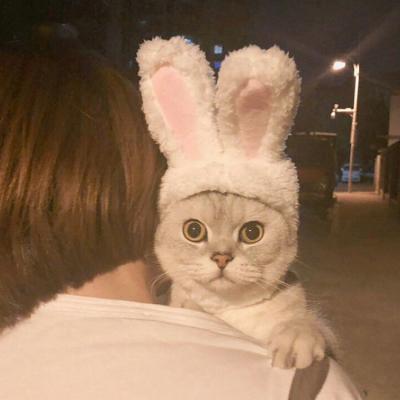 China Plush Bunny Ears Pet Headband Small Stocked Dogs Bandanas Party Costume Accessories Headwear Rabbit Ear Hat For Cat for sale