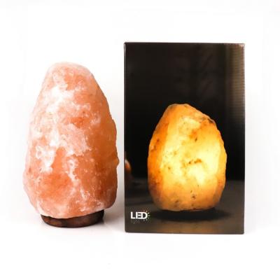 China Europe Natural Rock Crystal Hand Carved Himalayan Salt Lamp Lighting Lamps for sale