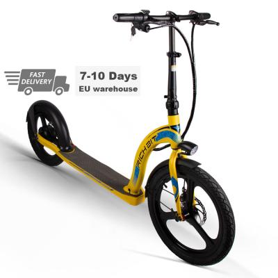 China Safe Funny Exciting Eco-Friendly RICH BIT H100 Pro Kick Foldable Electric Bike Mobility Adult Scooter 36v 250w for sale