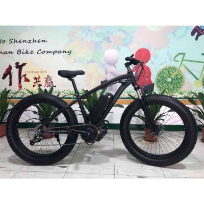 China BIT TOP-012 26 drive 750w e bike mid bike 500w RICH luxury electric bicycle fat bike for sale