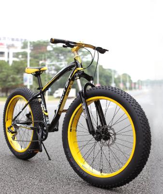 China OEM Rich Bit TOP-012 Street Fat Tires Bike for sale