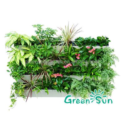 Chine Wholesale Modern Free Standing Green Vertical Wall Garden Flower Pot Flower Plant Outdoor Garden Decoration à vendre