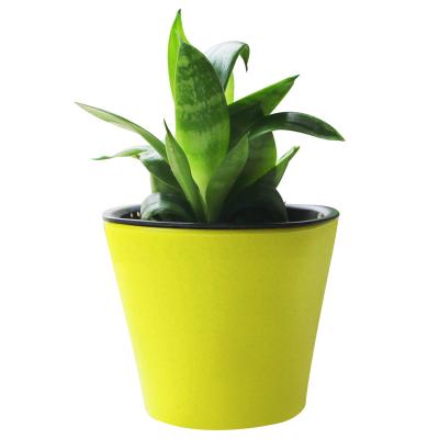 China GreenSun Planter Modern Self Watering Planter Plastic Pot Mini Desktop Pot for sale