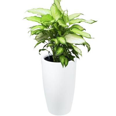 China Simply Chinese Factories Customize High End Quality Self Watering Planter Customized Plastic Hydroponic Flower Pot for sale