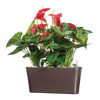 China Simply Hot Selling Flower Pots With Self Watering System for sale