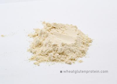 China Food Grade Dried Vital Wheat Gluten Powder Pure Gluten Powder for sale