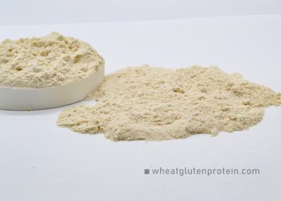 China Health Care Fine Wheat Protein Powder KOSHER Approval 2 Years Shelf Life for sale