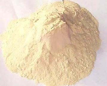 China Proteína de trigo amarillo claro en polvo para aditivo alimentario de pizza / pasta en venta