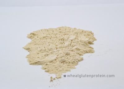 China Pasta Foods Use Pure Wheat Gluten Powder , Health Care Whey Protein Gluten for sale