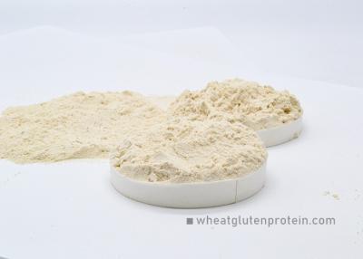 China KOSHER HALAL Wheat Protein Powder As Adhesive Meat Fish Products for sale