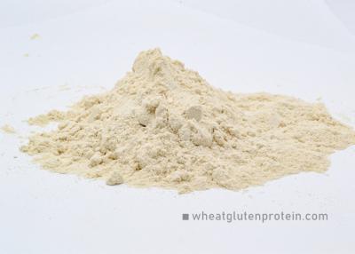 China NON GMO Wheat Gluten Protein Powder , Purified Wheat Protein Gluten for sale