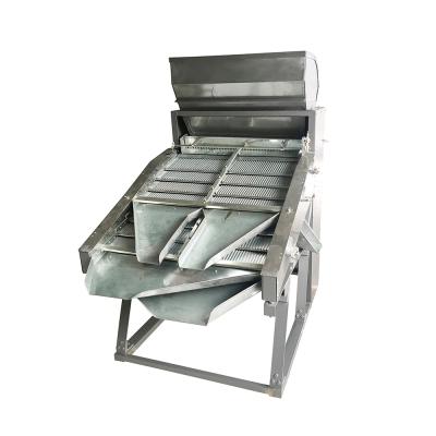 China Ali Baba Scale Type Green Tea Stem Beverage Sorter Stainless Steel Type Sorter for sale