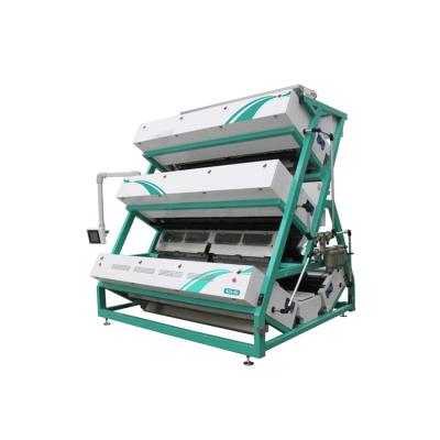 China Black Tea Processing Machine China Manufacturer Industrial Stainless Steel Black Tea Color Sorter With Touch Screen for sale