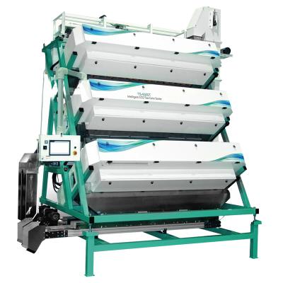 China Green tea leaf laying and storing machinery order in china tea color sorter machine ali baba with full color sorting for sale