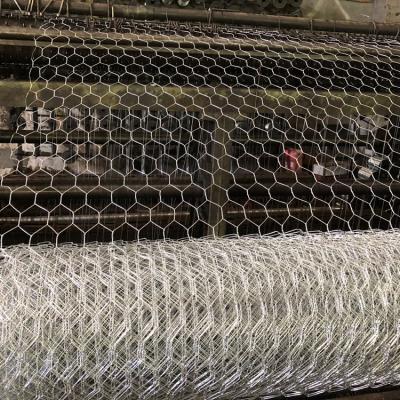 China Suppliers Easily Assembled Wire Mesh Customize Hot Dip Galvanized Hex Worn Mesh for sale