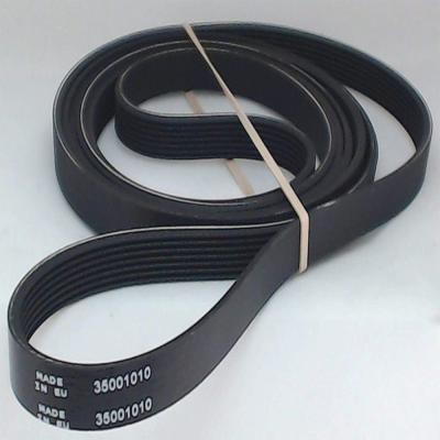 China 35001010 Swirl Belt For Seal Dryer MX for sale