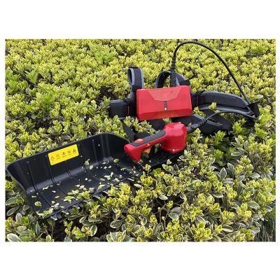 China Professional Tea Leaf Nplus Tea Picking Machine Tea Leaf Harvester With Battery-free Lithium Battery Tea Plucker Plucking Machine for sale