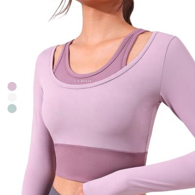 China Sexy Logo Gym Tops Padded Bra Sexy Sportswear Crop Long Sleeve Fitness Women Breathable Sportswear Custom Top Shirts for sale