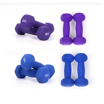 China Arm Full Set Dumbbell Upper Limb Muscle Training Training Dumbbell Rehabilitation Equipment For Adults And Children for sale