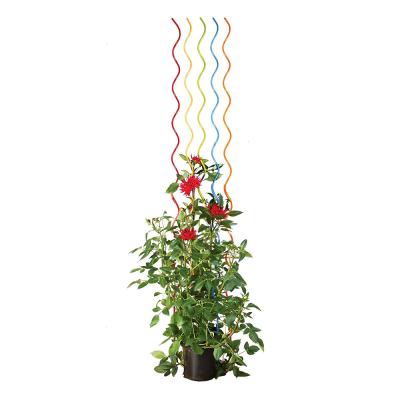 China Wholesale Plant Support Tomato Stakes Garden Plant Trellis Tomato Spiral Support Plant Growing Sprial Stakes for sale