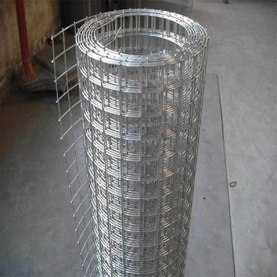 China Easily Assembled Galvanized Welded Wire Mesh Roll For Fence Panel for sale