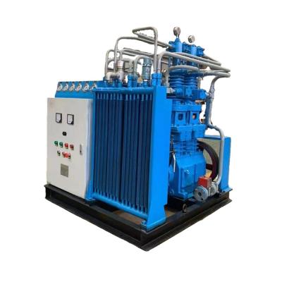 China Oil Free High Quality Hot Selling Small Size Compressor For Oxygen Concentrator for sale