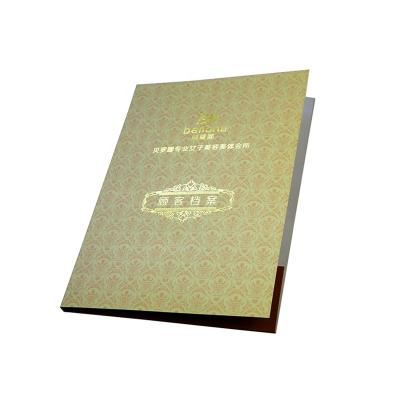 China Zuoluo Size A4 Size Document Pockets Hot Stamping Place Folders Or Brochures Folder for sale