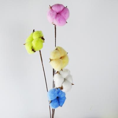 China Indoor Handmade Preserved White Color Dried Single Flower Cotton Ball Branch Natural Cotton Flowers Decoration DIY Natural Touch New Design for sale