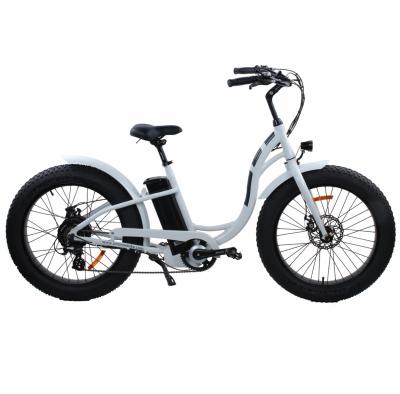 China The standard electric bicycle sells 24 inch wholesale fat tires for outdoor CE recycling certificate for sale