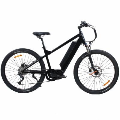 China Factory Supply Standard Invisible Battery Electric Bike 48V 1000W Mountain Motor Dirt Damping High Power Central Bike for sale