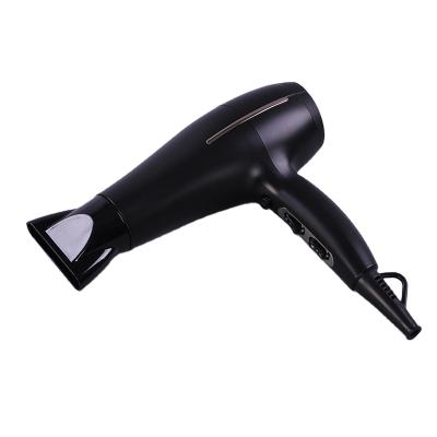 China New 2020 Highest Quality Private Label Household Hair Dryer Electric Ionic Hot Air 2400W for sale